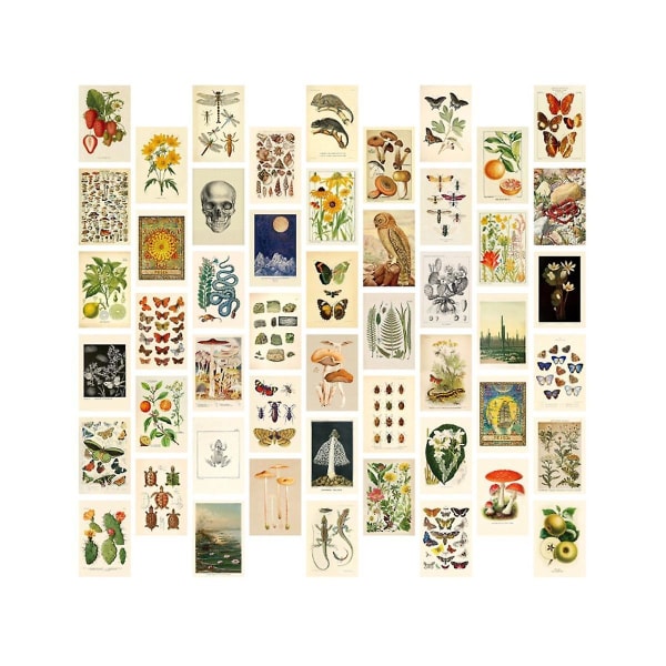 Vintage æstetisk vægcollagesæt - 50 mini botaniske Cottagecore collagekunstplakater (4 x 6), til trendy fotovæg