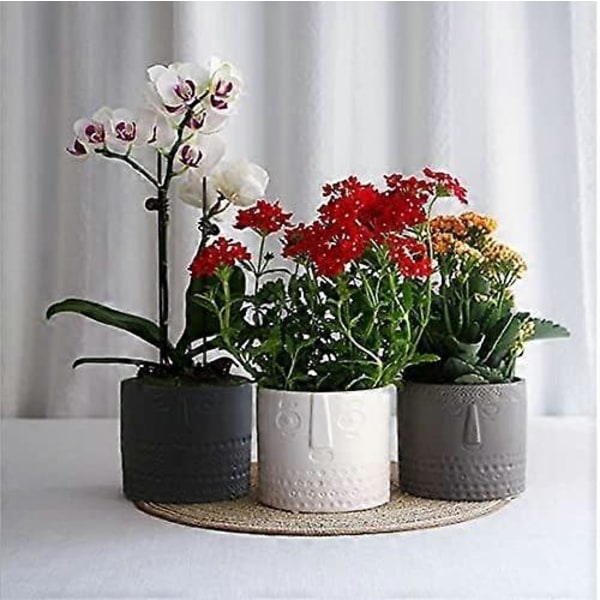 Set med 2 Keramiska Blomkrukor för Suckulenter - Ansiktsdesign - För Vardagsrum, Kontor - Vit