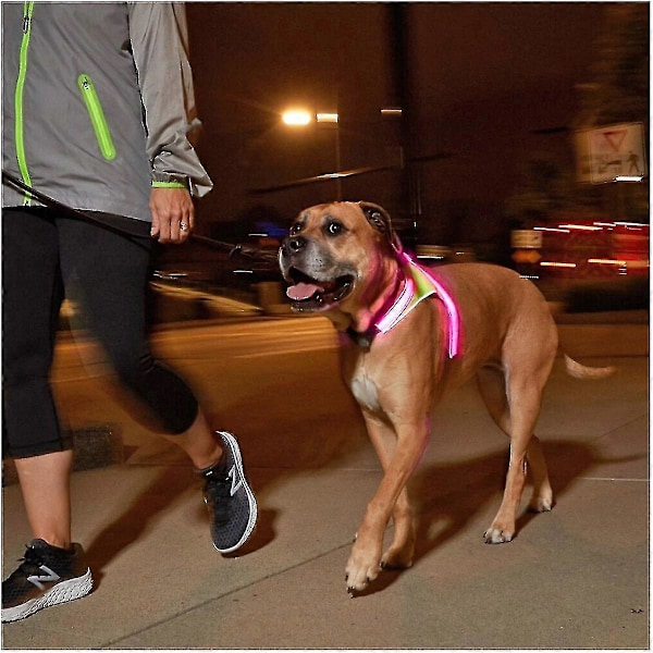 Noxgear Lighthound 360 Synlighet Flerfärgad Reflex Led Hundsele