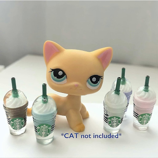 Mini 5-osainen Frappuccino-tarvikesetti