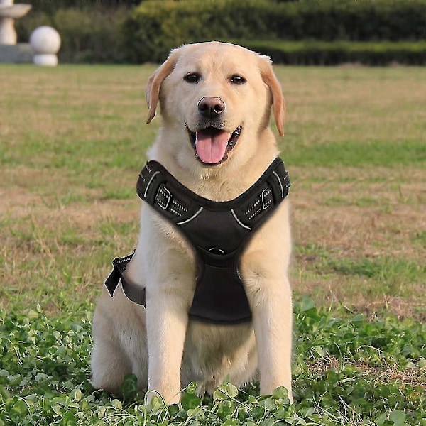 Hundesele, anti-træk kæledyrsele med 1 snorclips, justerbar blød polstret hundevest - sort - m