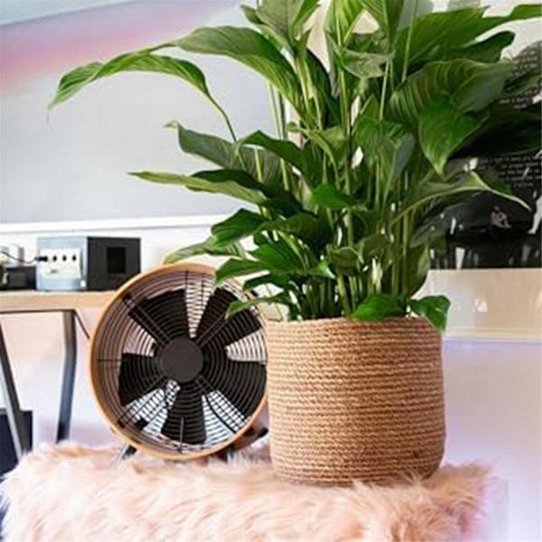 Sægræs Blomsterpotte - Vævet Plantepotte - Dekorativ Plantekurv Med Plastikfolieindsats I Boho St