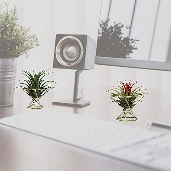 6 stk Geometriske Luftplanteholdere Luftplanter Stativ Metall Plante Stativ Plantehyller Himmeli Dekor Ti