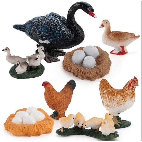 4 kpl kanan, ankan ja hanhen kasvusyklin tieteellinen set Miniatyyri siipikarja eläinmalli lasten lelu