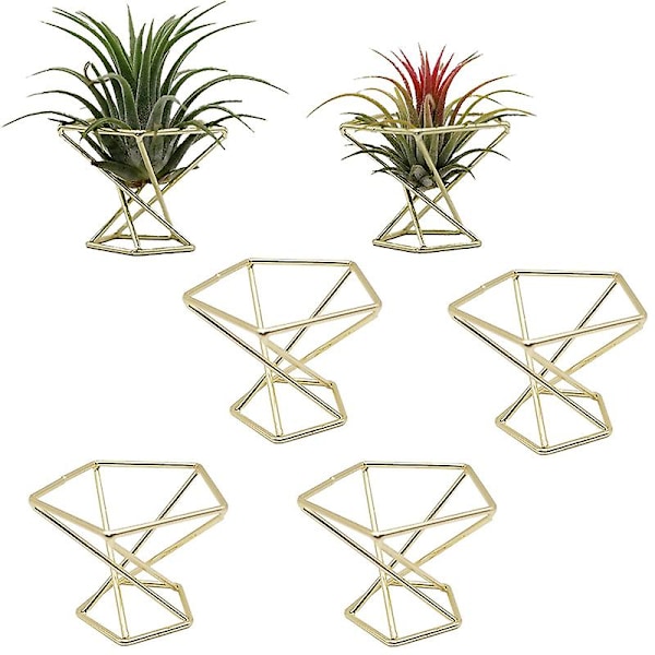 6 stk Geometriske Luftplanteholdere Luftplanter Stativ Metall Plante Stativ Plantehyller Himmeli Dekor Ti