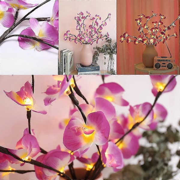 Phalaenopsis Trægren Lys Blomsterlys Hjem Julefest Haveindretning