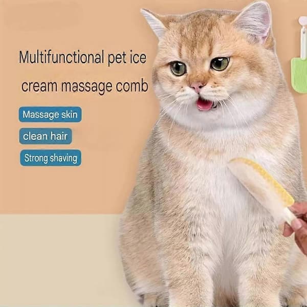 2024 Ny Katttungekam - Celery Pets Katttungekam, Katttungeborste Blue