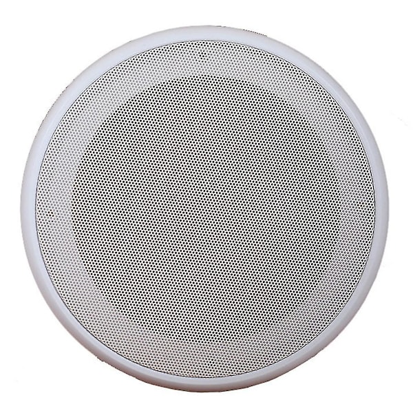 Högtalargaller för takhögtalare Kapsling Nät Subwoofer Pgrill Cirkel Skyddsnät