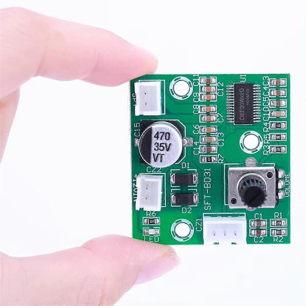 60W Høyeffekt Mono Forsteker Lydkort Klasse D HIFI Digital Mini Effektforsterker Modul Forsterker Lydmodul