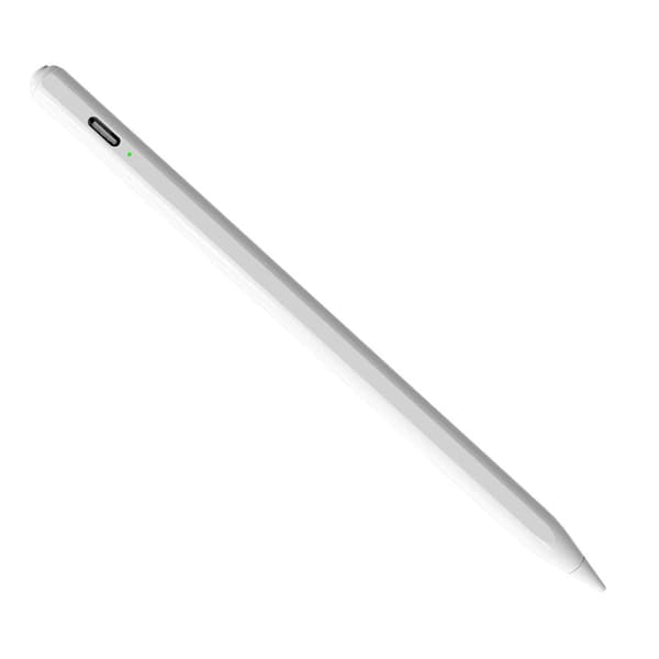 Stylus Penna Magnetisk Handflatavvisning Typ C Laddning Touch-omkopplare Stylus för IOS Tablet 2018 Eller Högre Version