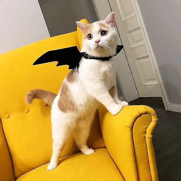 2-pak Halloween kjæledyr flaggermus vinger katt hund flaggermus vampyr kostyme Halloween tilbehør for valp hund og katt Uu