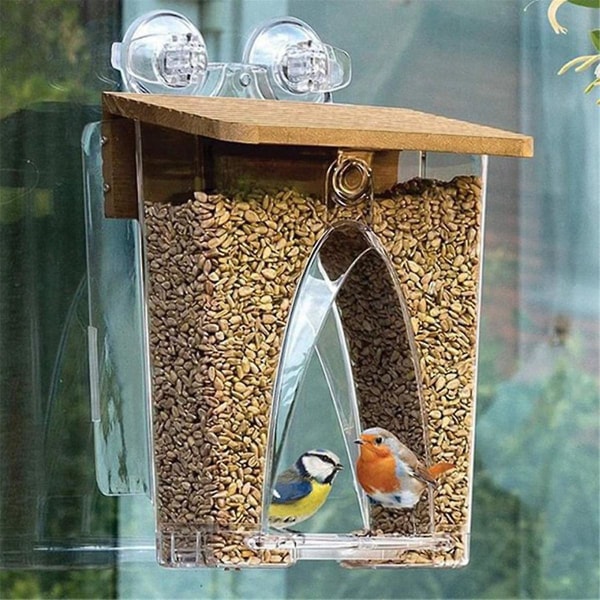 Beautiful Arch Window Wild Bird Feeder with Huge 4LBS Capacity & Ultra Strong Dual Suction Technology for Outdoors