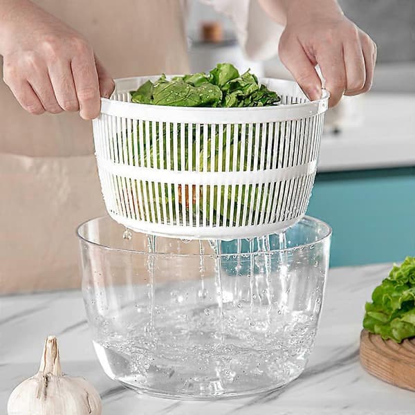 Dehydreringsartefakt manuell press frukt- och grönsaksdehydrator vattenkastare