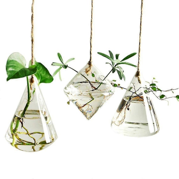 Glassvase Beholder Blomsterplante Hengende Glass For Hydroponisk Vase Hjem Hagedekor -3 Type