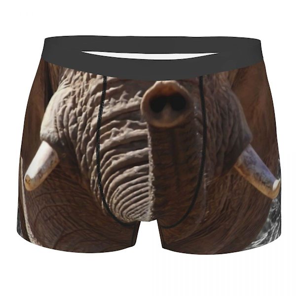 Elefant-Snute Morsom Ansikt Mann S Boxer Shorts Underbukser Høy Pustende Gaveidé