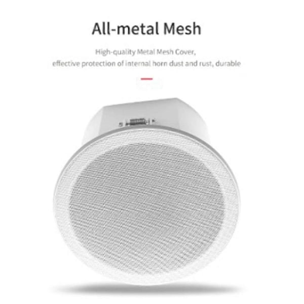 Inbyggd förstärkare fullregister Bluetooth-baksida Hemmabio Bakgrundsmusik Takhögtalare(C)