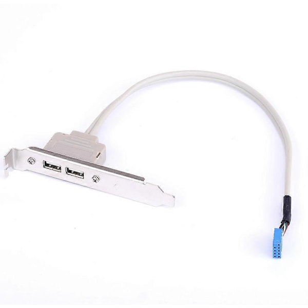 Tvåports USB bakre väggplatta för stationär dator chassi PCI-bit dubbla portar 2.0 moderkorts expansionslinje 2-pack