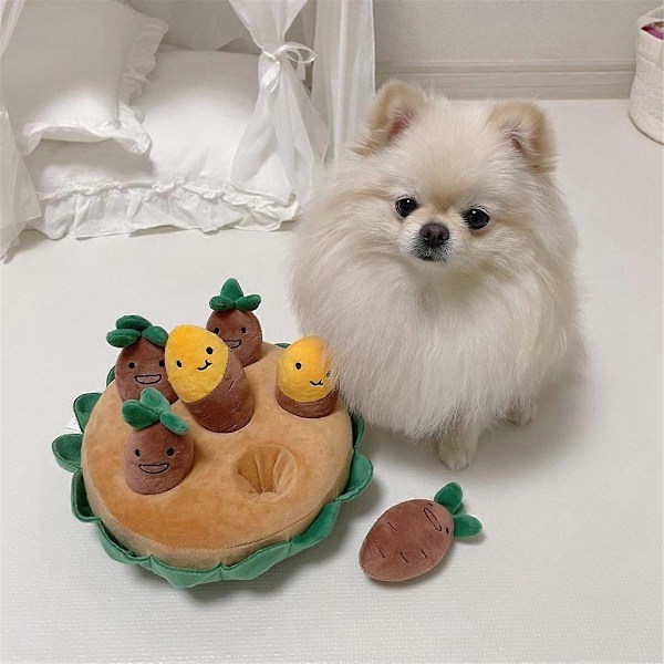 Hundleksak Dragset Djurleksak Pipande Djurleksak Göm Mat Leksak Interaktiv Hundleksak Hundtuggleksaker