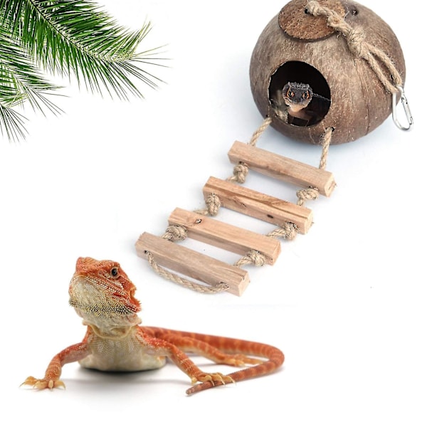 Gecko Kokosnøttskallhytte, Fuglehytte Reirhus Gjemmer seg med stige, Kokosnøtttekstur gir mat, Holdbar hule med hengeløkke for leopardgekko, Re