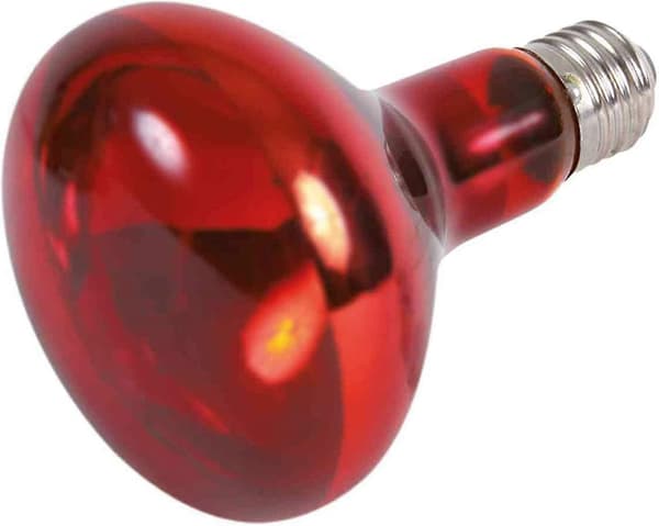 Infrarød Spotlampe 95 130 Mm 100 W