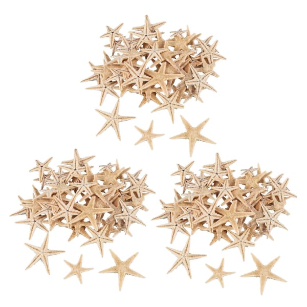 Small Starfish Star Sea Shell Beach Craft 0,4 tommer-1,2 tommer 180 stk