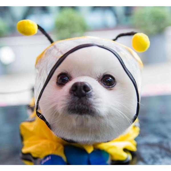 Puppy Dog Sadetakki Nelijalkainen Vedenpitävä All-inclusive Nalle Lemmikki Shiba Inu Vaatteet Pieni Keskikokoinen koira Bichon Pomeranian Poncho (1 kpl, keltainen)