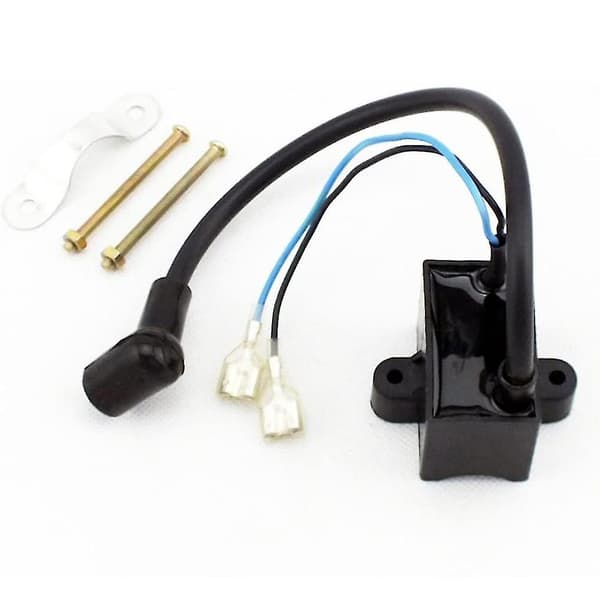 Tändspole Stator Coil Plug Kit För 2-takts 49cc 50cc 60cc 80cc Motorcykel