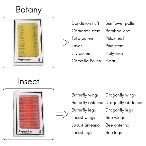 48 kpl Lasten Muoviset Valmiiksi Valmistetut Mikroskooppiliukumäet Eläimistä, Hyönteisistä, Kasveista ja Kukista - Näytteitä