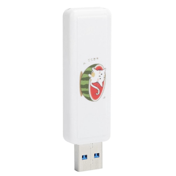 U Disk USB2.0 PushPull Bil Minnepenn Firmagave Datatilbehør (Vannmelon Katt 16GB)