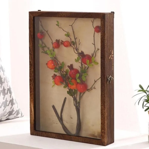 Display Box Fotoram Insektsamling Displaybox MM