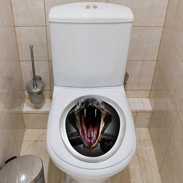 Pelottava wc-istuimen tarra
