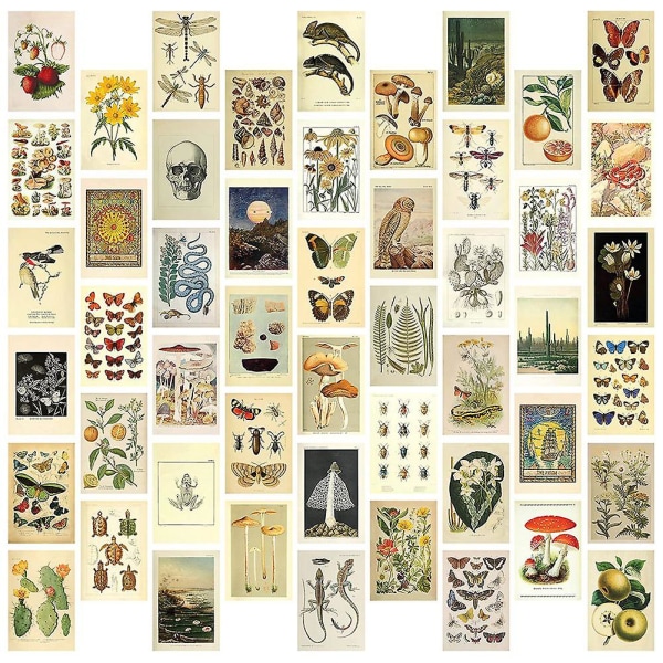 Vintage æstetisk vægcollagesæt - 50 mini botaniske Cottagecore Collage kunstplakater (4x6 tommer), F