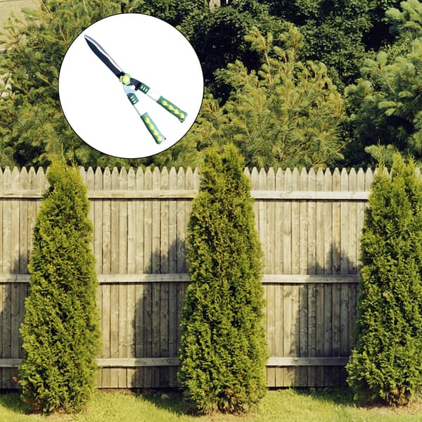 Häckklippare med Skarpa Blad Bekväm Manövrering Sax för Trädgårdsskötsel Formning