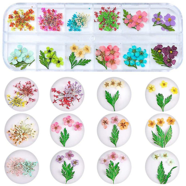 2 laatikkoa Nail Art kuivattuja kukkia 24 väriä kuivakukkia Mini Real Natural Flowers Nail Art Supplies 3D applikoitu kynsien koristelu