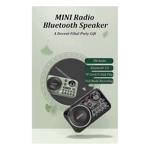 Fm-radio Bluetooth 5.0 kaiutinradio vanhuksille Hifi Tf/ USB Mp3-musiikkisoitin Tuki Recordin