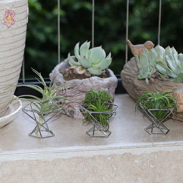 Pakke med 5 Luftplanteholdere Luftplanter Holdere Tillandsias Display Luftrensende Plantebeholder Luft Fe