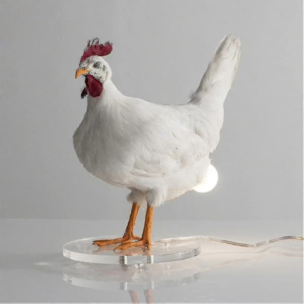 Kylling LED Lampe Egg Nattlampe Utstoppet Egg Skrivebordslampe