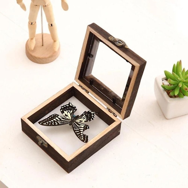 Display Box Fotoram Insektsamling Displaybox MM