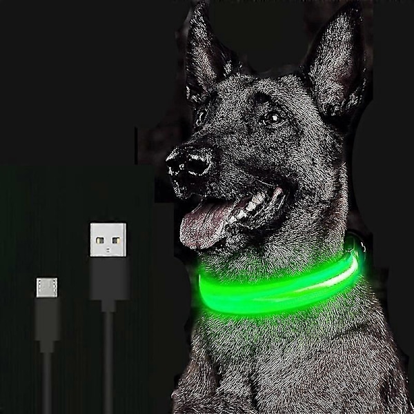 Justerbart Lysande LED Säkerhetshundhalsband