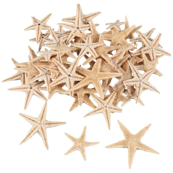 Small Starfish Star Sea Shell Beach Craft 0,4 tommer-1,2 tommer 90 stk