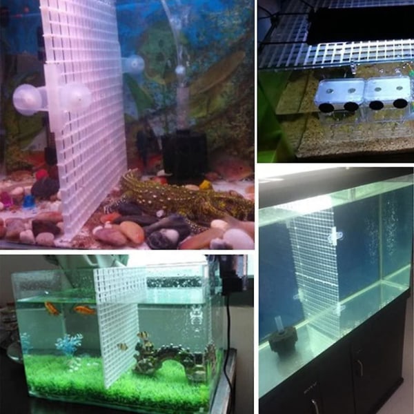 40 st Divider Aquarium Sugkoppshållare för akvarier Cover Separerande avdelare Support C