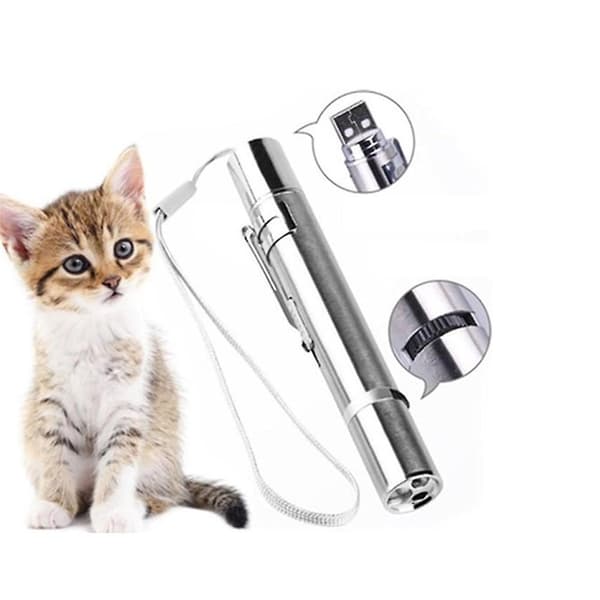 Til katte - USB med mini lommelygte, UV-lys og tal