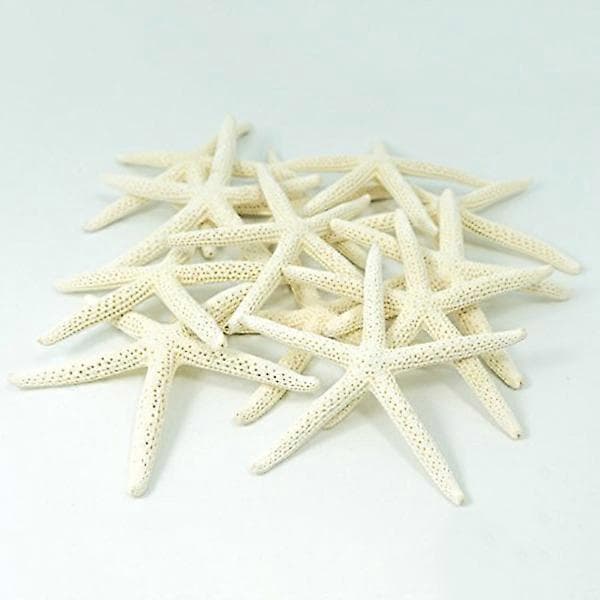 12 stk Hvite Finger Sjøstjerner 5-10cm Dekorative fem-finger sjøstjerner