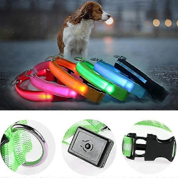Justerbart Lysande LED Säkerhetshundhalsband