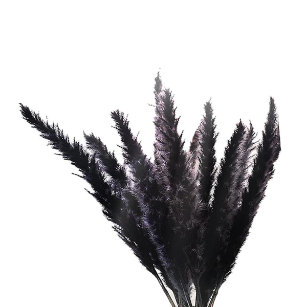 30 stk sort pampasgræs, 17 tommer naturlig tørret fluffy små stængler til hjemmets bryllup dekoration Flower Ar