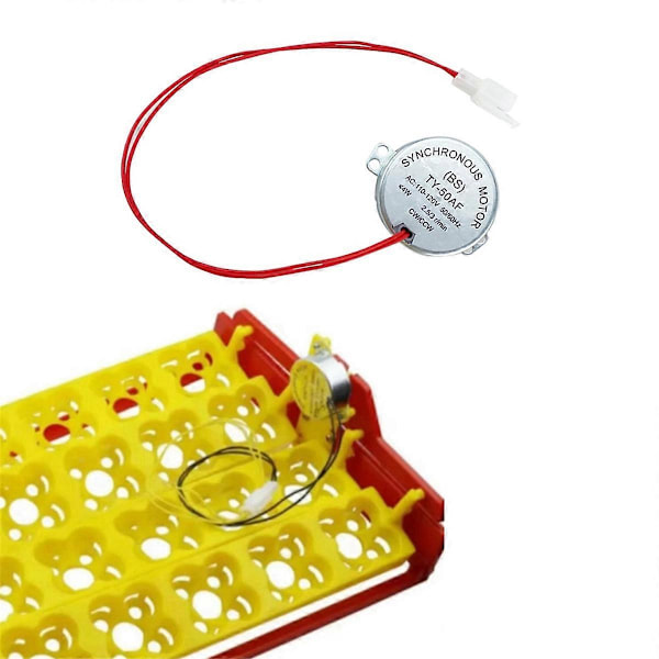Inkubator Automatisk Eggvendingsmotor 12V 110V Synkronmotor Inkubator Tilbehør