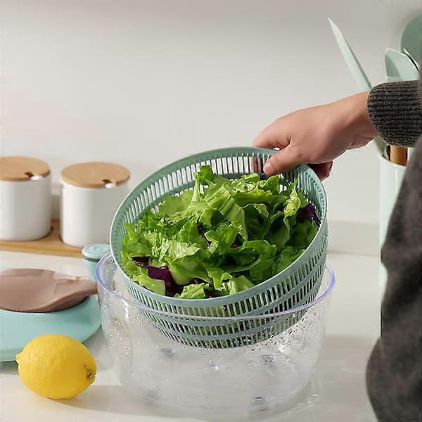 Frukt- och grönsaksslunga fitness måltid handdriven dehydrator grönsakssallad frukt en
