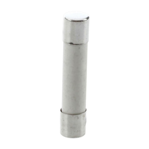 10 stk AC 250 V 15 A 6 x 30 mm, Højhastigheds Cylindrisk Sikring Rør Keramik Hvid + Sølv