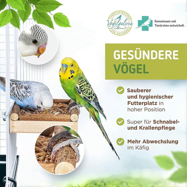 Dww-Fuglefoder til Vinduer, Udendørs Fuglefoder til Vilde Fugle