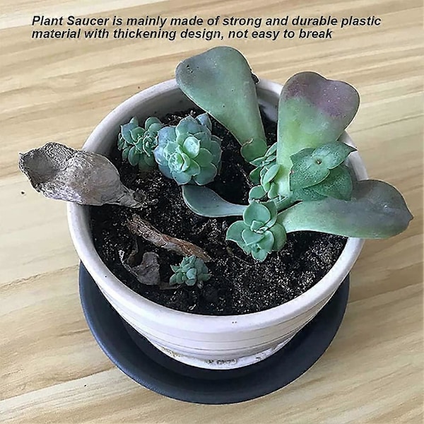 Passende underskåle til potteplanter, underskåle til planter, underskål til potteblomster, rund drypbakke til plastikplanter